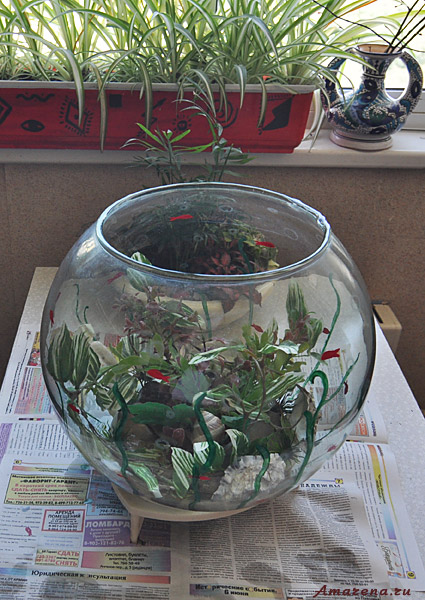 Украшаем аквариум-лампу растениями и камнями